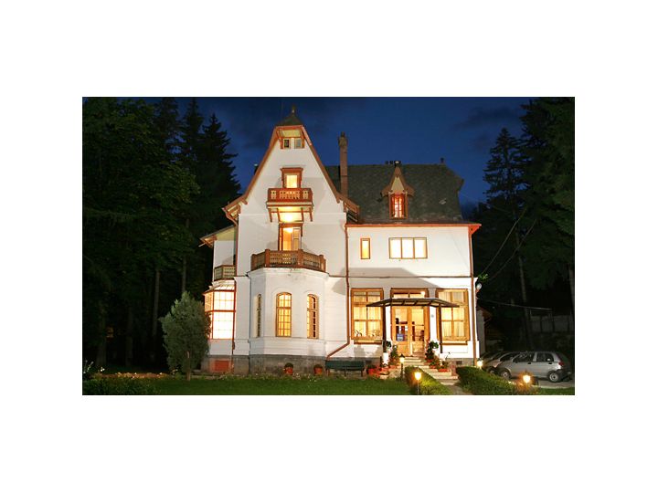 Vila Camelia, Sinaia - imaginea 