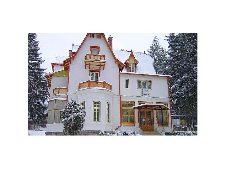 Vila Camelia, Sinaia - imaginea 