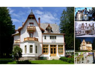 Vila Camelia, Sinaia - 1