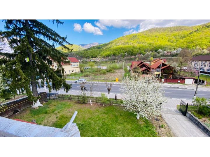 Vila Themis, Calimanesti-Caciulata - imaginea