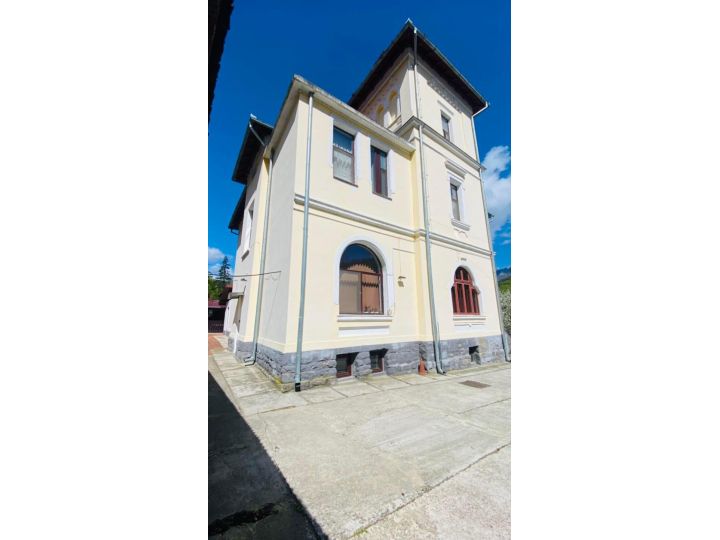 Vila Themis, Calimanesti-Caciulata - imaginea