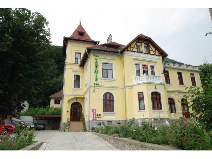 Vila Themis, Calimanesti-Caciulata - imaginea
