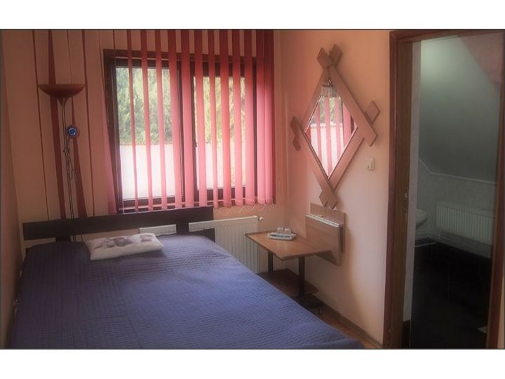 Vila Tornado, Sinaia - imaginea 