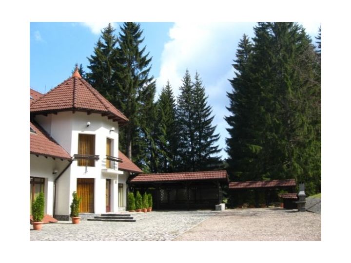 Vila Daria, Poiana Brasov - imaginea 