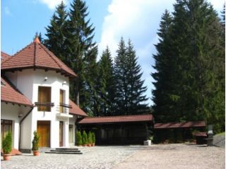 Vila Daria, Poiana Brasov - 5