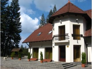 Vila Daria, Poiana Brasov - 3