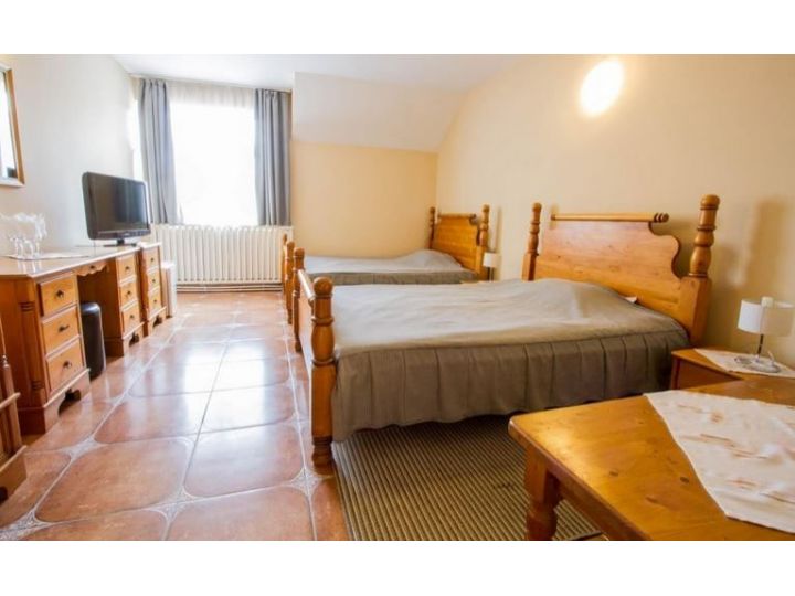 Pensiunea Casa Tepes, Brasov Oras - imaginea 