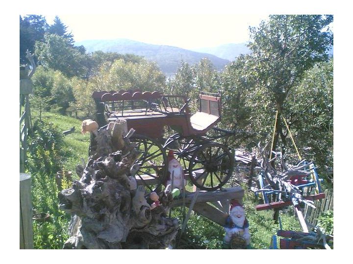 Pensiunea Menta, Bicaz - imaginea 