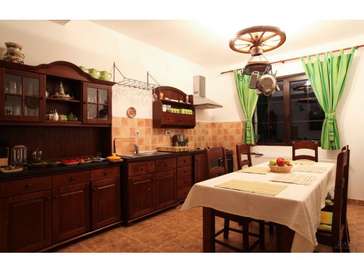 Pensiunea Casa Mosului, Cartisoara - imaginea 