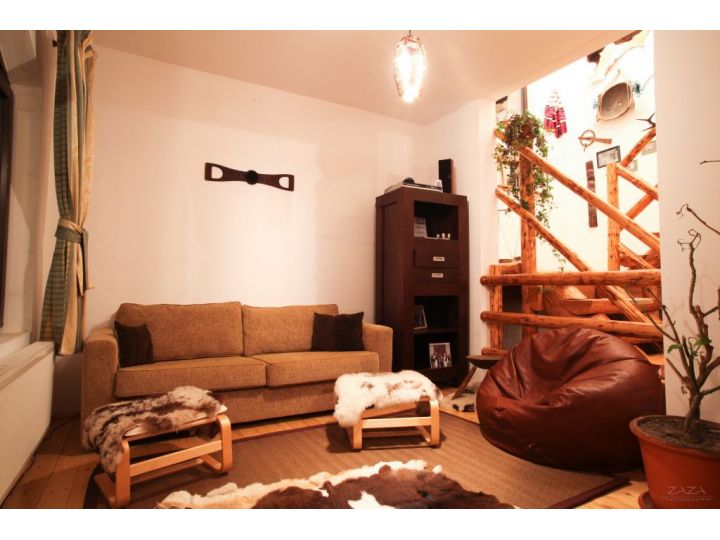 Pensiunea Casa Mosului, Cartisoara - imaginea 