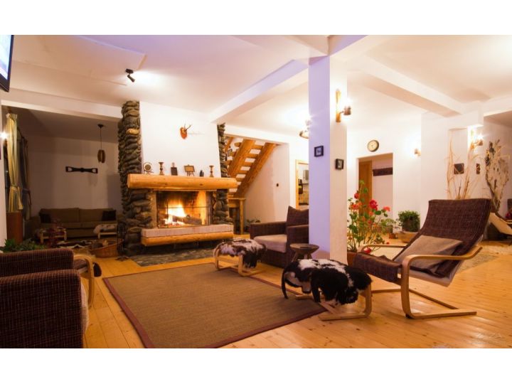 Pensiunea Casa Mosului, Cartisoara - imaginea 