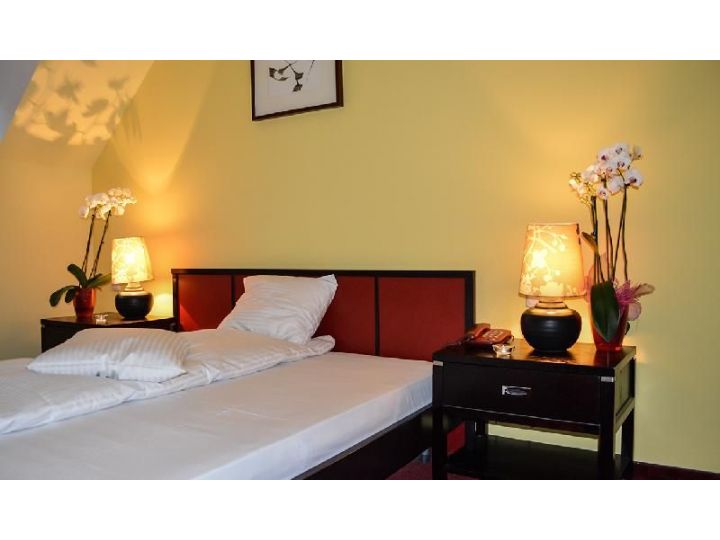 Pensiunea Casa Mignon, Oradea - imaginea 