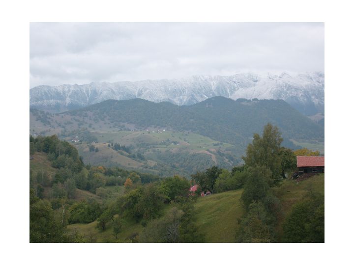 Pensiunea Ana-Aria, Moeciu De Jos - imaginea 