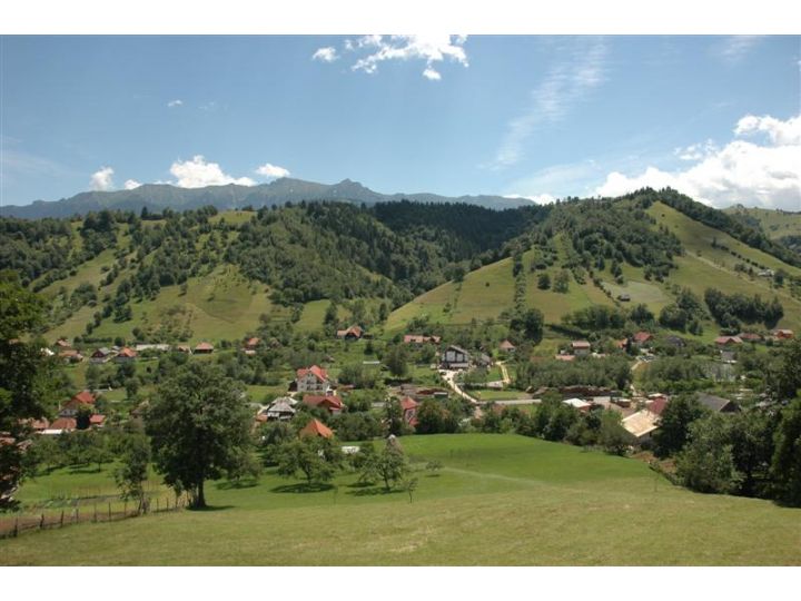 Pensiunea Podul Turcului, Moeciu De Jos - imaginea 