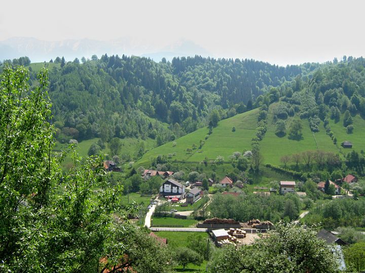 Pensiunea Podul Turcului, Moeciu De Jos - imaginea 