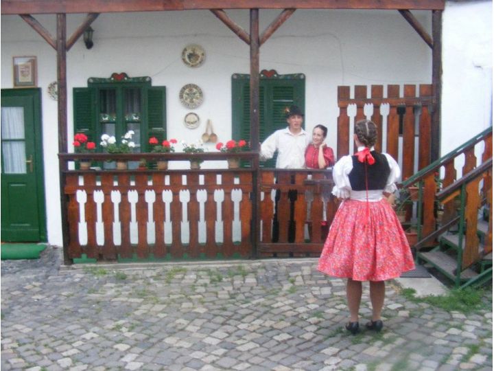 Pensiunea Gobe, Oradea - imaginea 