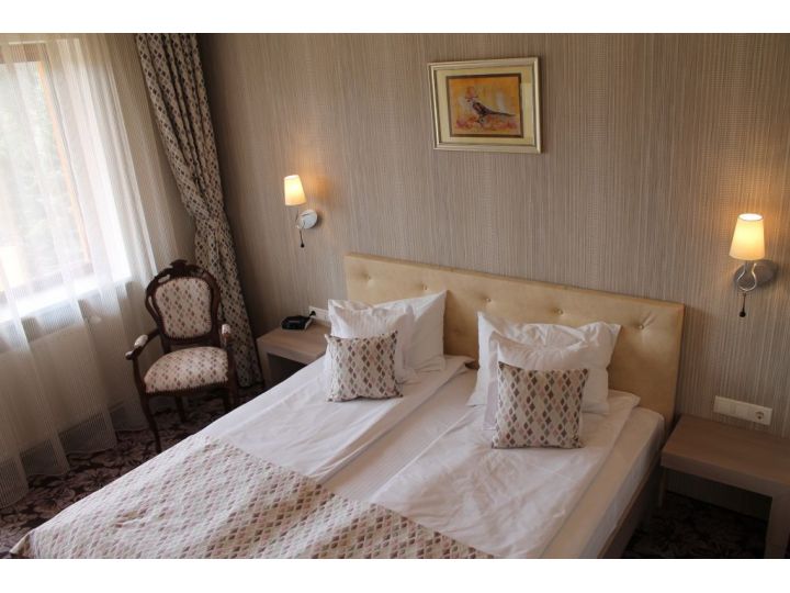 Hotel Silva, Sibiu-Oras - imaginea 
