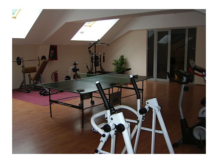 Hotel Ferdinand, Baile Herculane - imaginea 