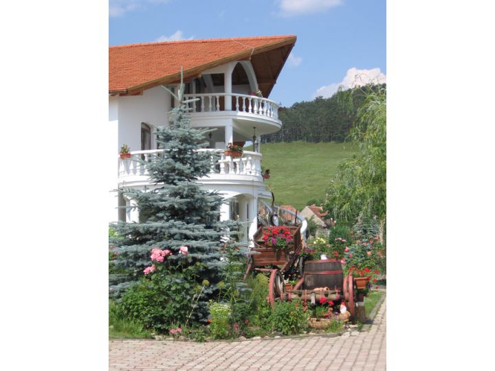 Hotel Bielmann, Sanpetru - imaginea 