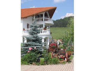 Hotel Bielmann, Sanpetru - 3