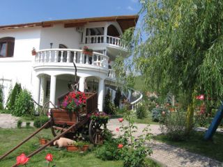 Hotel Bielmann, Sanpetru - 5