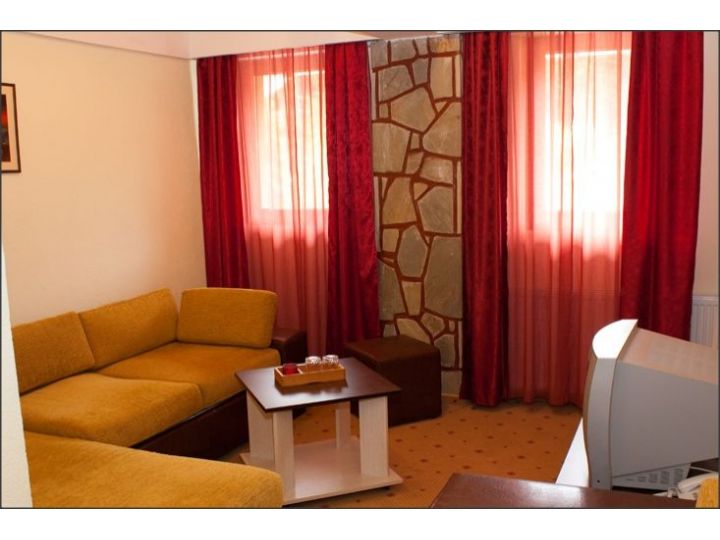 Vila Casa Nicolenco, Azuga - imaginea 