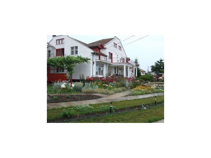 Vila Cleopatra, Costinesti - imaginea