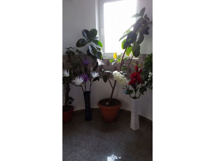 Vila La Famiglia, Eforie Nord - imaginea 