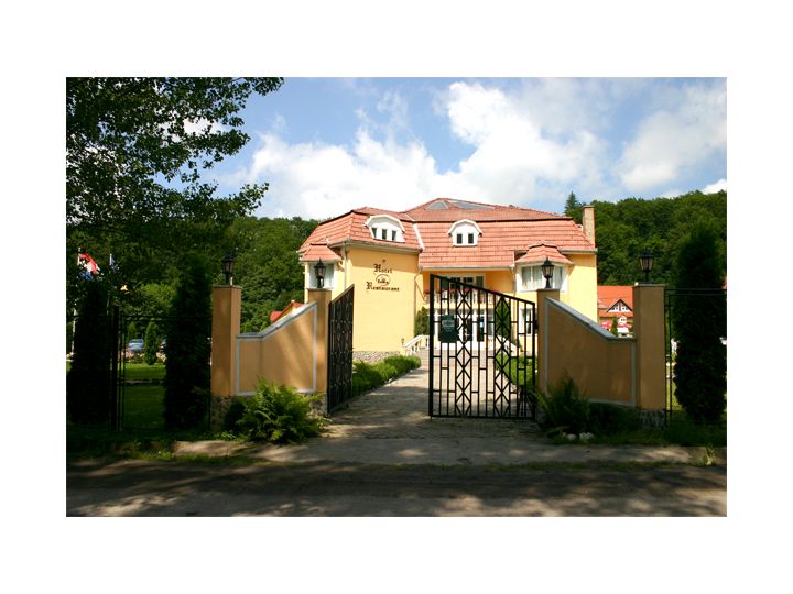 Hotel Edelweiss, Sovata - imaginea 