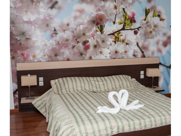 Hotel Magura Verde, Magura - imaginea 