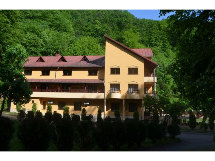 Pensiunea Magura, Baia Mare - imaginea 
