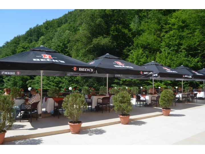 Pensiunea Magura, Baia Mare - imaginea 
