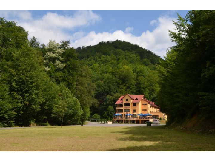 Pensiunea Magura, Baia Mare - imaginea 