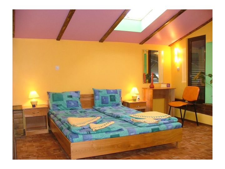Pensiunea Flamingo, Brasov Oras - imaginea 