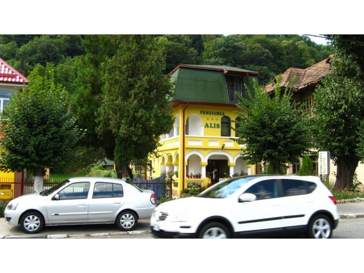 Pensiunea Alis, Calimanesti-Caciulata - imaginea
