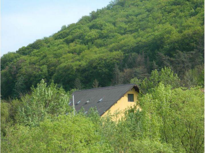 Pensiunea Alfrid, Calimanesti-Caciulata - imaginea