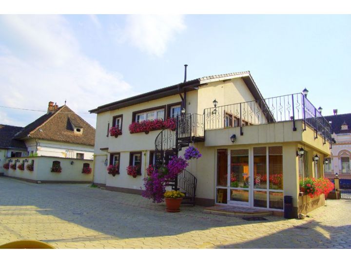 Pensiunea Luiza, Brasov Oras - imaginea 