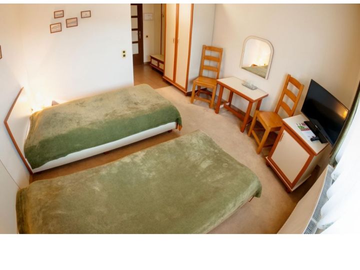 Pensiunea Luiza, Brasov Oras - imaginea 