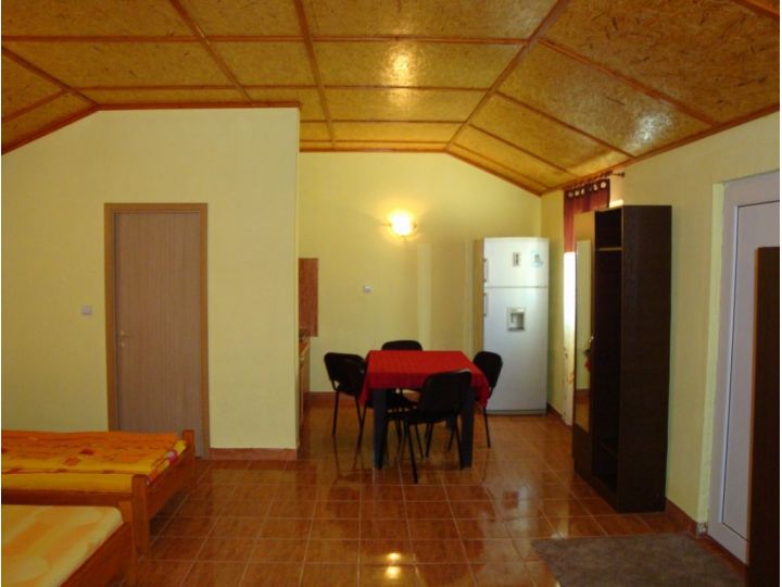 Pensiunea Casa Ecologica, Mehadia - imaginea 