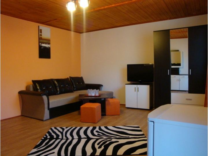 Pensiunea Casa Ecologica, Mehadia - imaginea 