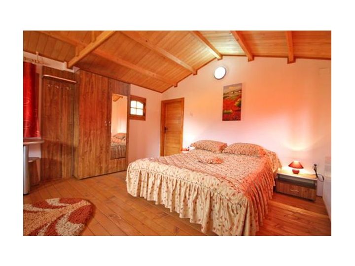 Pensiunea Casa Ecologica, Mehadia - imaginea 