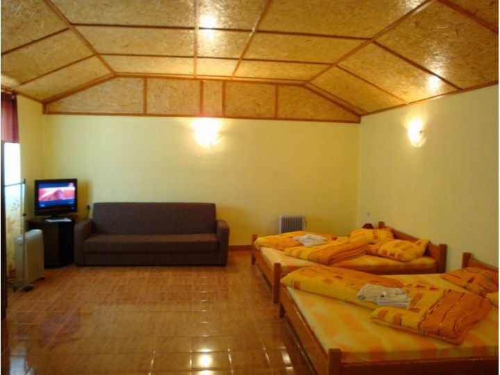 Pensiunea Casa Ecologica, Mehadia - imaginea 