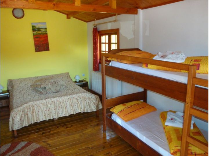 Pensiunea Casa Ecologica, Mehadia - imaginea 