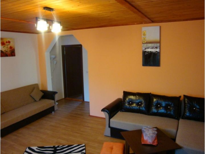 Pensiunea Casa Ecologica, Mehadia - imaginea 