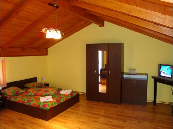 Pensiunea Casa Ecologica, Mehadia - imaginea 