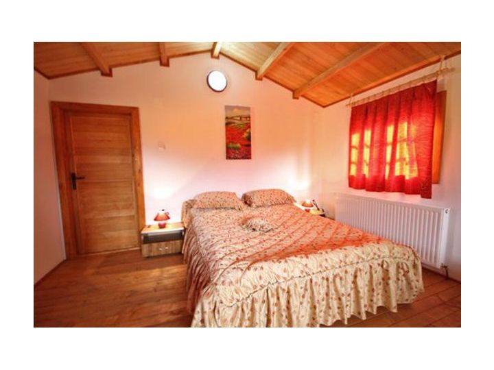 Pensiunea Casa Ecologica, Mehadia - imaginea 
