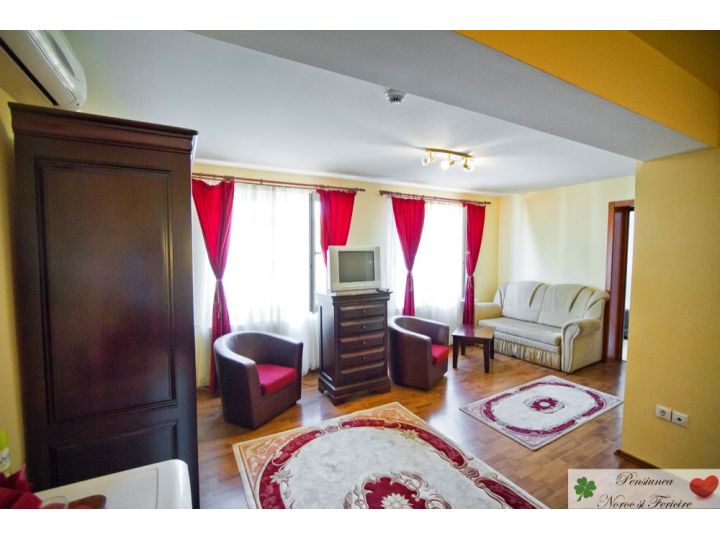 Pensiunea Noroc si Fericire, Targu Mures - imaginea 
