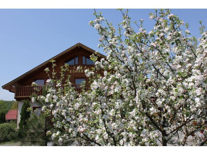 Pensiunea Casa Romantic, Sovata - imaginea 