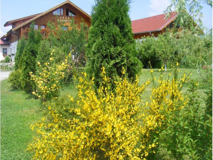 Pensiunea Casa Romantic, Sovata - imaginea 