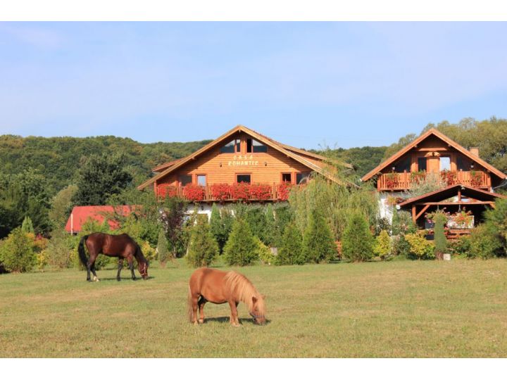 Pensiunea Casa Romantic, Sovata - imaginea 